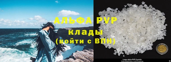 PSILOCYBIN Снежинск