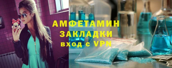 ГАЛЛЮЦИНОГЕННЫЕ ГРИБЫ Белокуриха