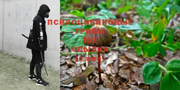 mdpv Свободный