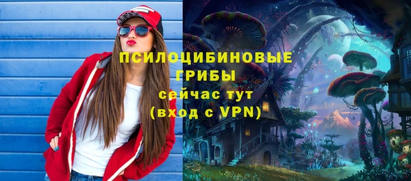 PSILOCYBIN Снежинск