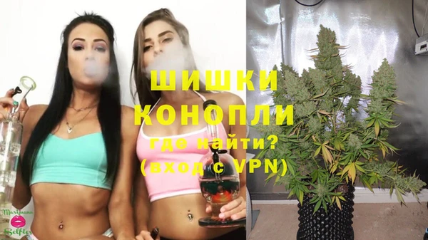 стафф Семёнов