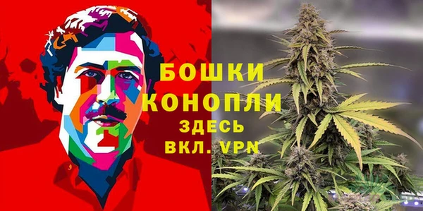 альфа пвп Снежногорск
