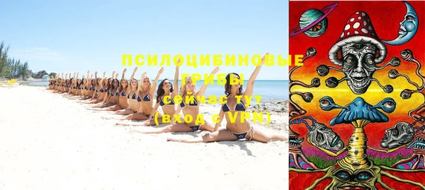 гашик Семилуки