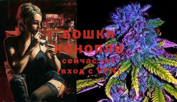 бошки Богданович