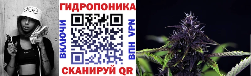 Бошки марихуана план  Туринск 